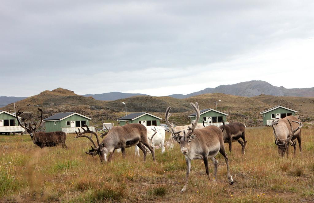 Nordkapp Camping Hotel Ruang foto