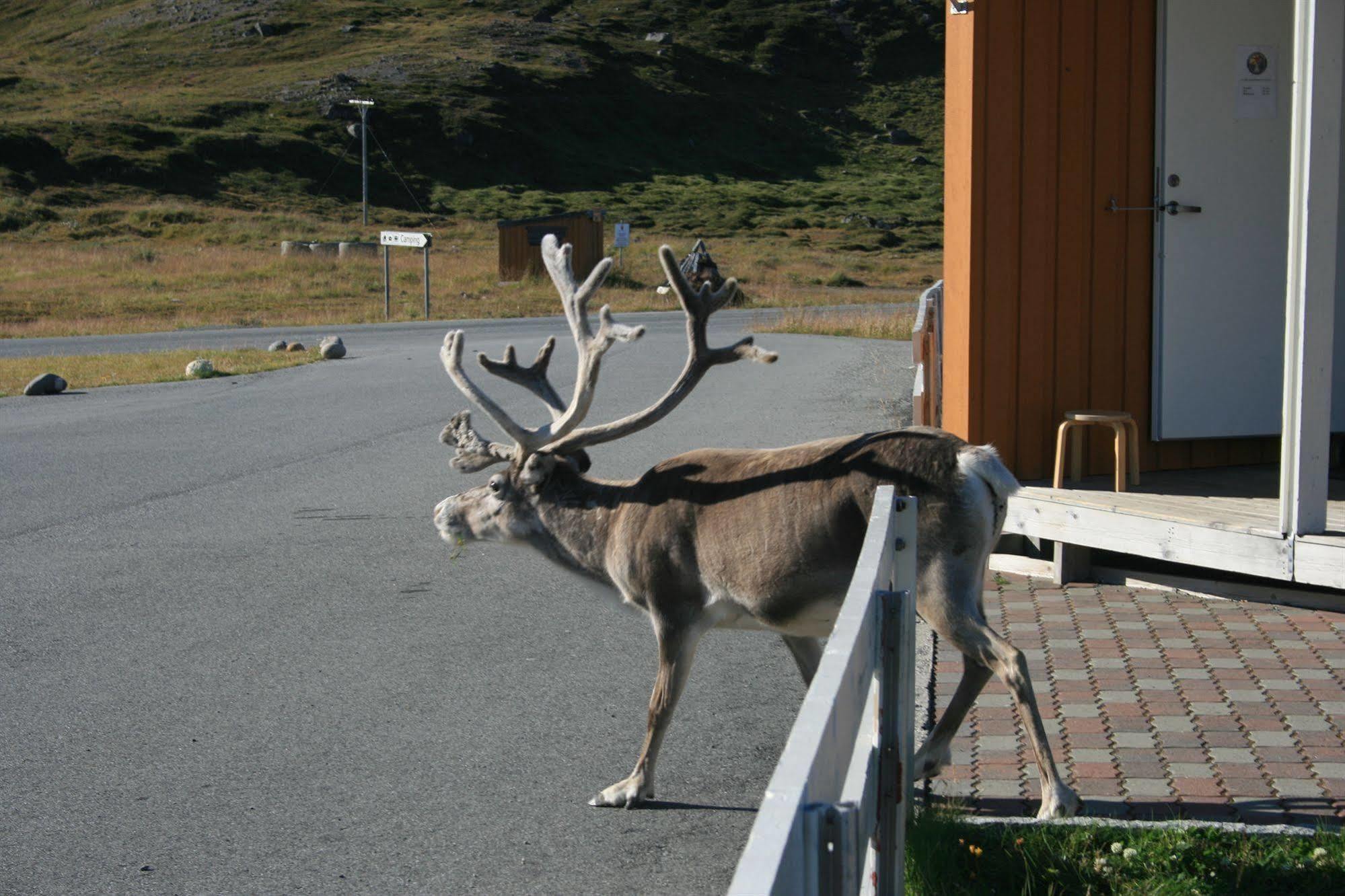 Nordkapp Camping Hotel Bagian luar foto